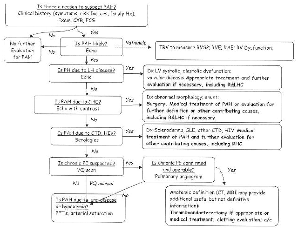 Pulmonary Arterial Hypertension Evaluation